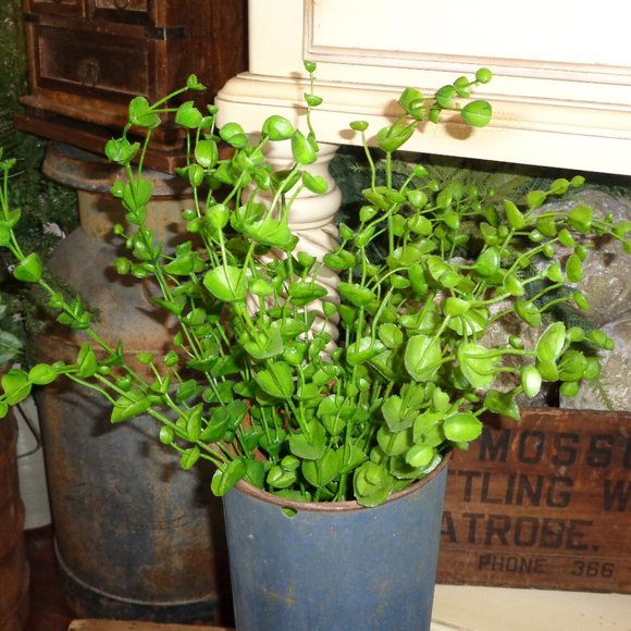 🚫 SOLD 🚫 - Picture 5 of 5